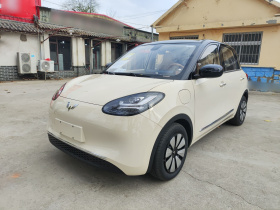 五菱汽车 五菱缤果 2025款 333km 悦享款