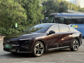 五菱汽车 五菱星光 2023款 150 进阶版