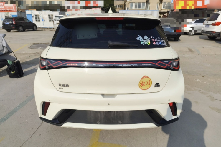 比亚迪 海豚 2023款 420km 时尚版车身外观6