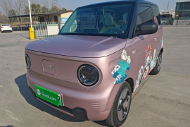 吉利银河 2023款 熊猫mini 200km 灵动熊