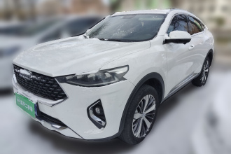 哈弗F7x 2019款 2.0T 两驱极智潮玩版