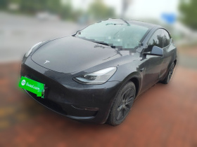 特斯拉 Model Y 2024款 长续航全轮驱动版