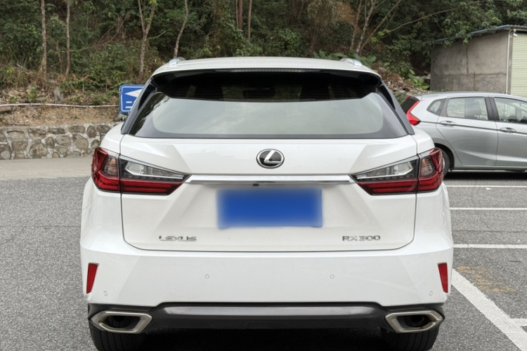 雷克萨斯RX 2016款 300 两驱精英版 国V车身外观6006