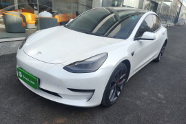 特斯拉 Model 3 2022款 Performance高性能全轮驱动版