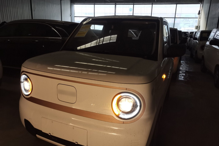 吉利银河 2024款 熊猫mini 200km 耐力熊车身外观2