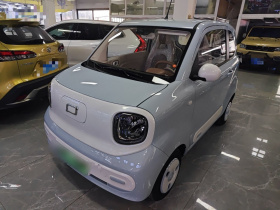 奔腾小马 2025款 222km 闪电马