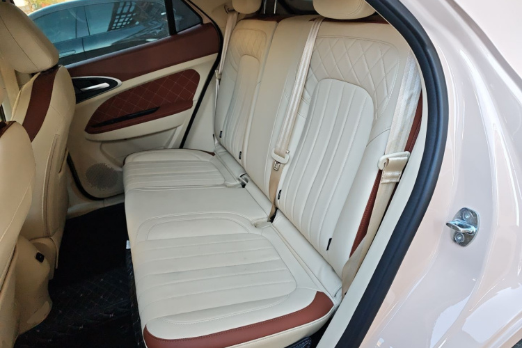 欧拉好猫 2022款 莫兰迪版 400km标准续航 尊贵型 磷酸铁锂中控内饰21