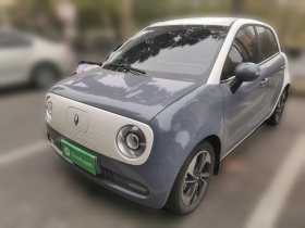 欧拉黑猫 2022款 351km 舒适型 三元锂