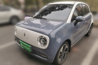 欧拉黑猫 2022款 351km 舒适型 三元锂