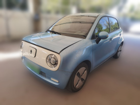 欧拉黑猫 2019款 351km 灵趣版