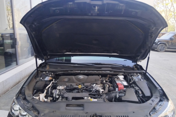 丰田 亚洲龙 2021款 2.5L 豪华版机舱底盘24