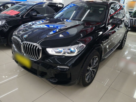 宝马X5(进口) 2019款 xDrive40i M运动套装