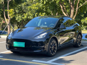 特斯拉 Model Y 2022款 长续航全轮驱动版
