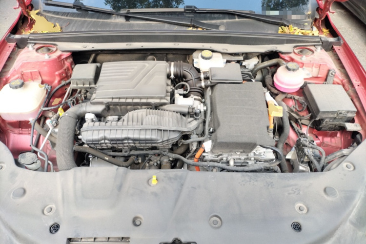 比亚迪 秦PLUS 2023款 冠军版 DM-i 55KM领先型局部细节24