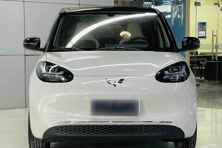 五菱汽车 五菱缤果 2024款 333km 悦享款车身外观6002