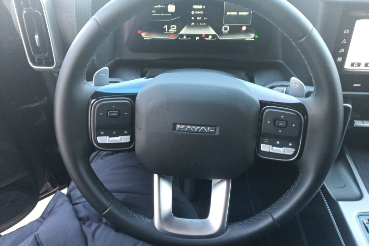 哈弗大狗 2024款 1.5T DCT边牧版中控内饰13