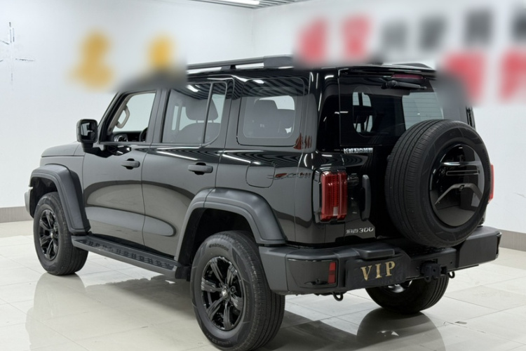 坦克300 2024款 2.0T 征服者车身外观6001