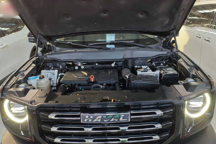 哈弗大狗 2021款 1.5T DCT两驱边牧版机舱底盘24