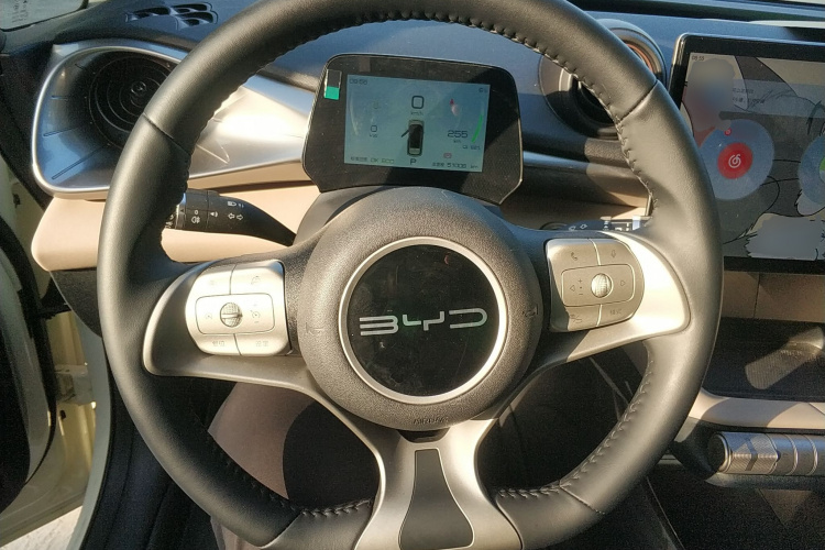 比亚迪 海豚 2023款 420km 时尚版局部细节13