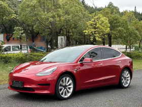 特斯拉 Model 3 2019款 标准续航后驱升级版