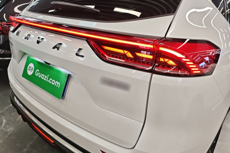 哈弗H6 2025款 1.5T 国潮都市版车身外观9