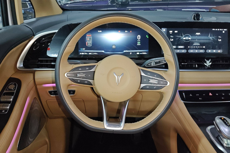 岚图汽车 岚图梦想家 2024款 PHEV 超长续航尊贵版局部细节13