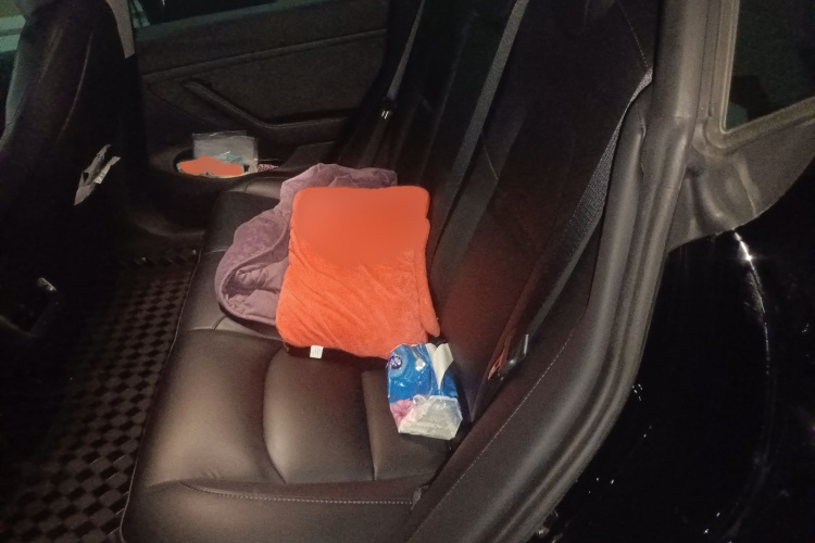 特斯拉 Model 3 2022款 后轮驱动版中控内饰7004