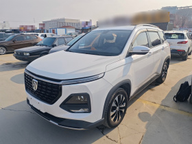 宝骏530 2020款 1.5T CVT尊贵互联型 7座