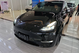 特斯拉 Model Y 2021款 标准续航后驱版