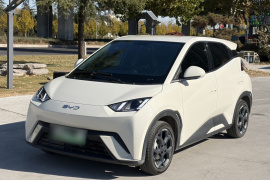 比亚迪 海鸥 2025款 305km 自由版