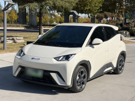 比亚迪 海鸥 2025款 305km 自由版