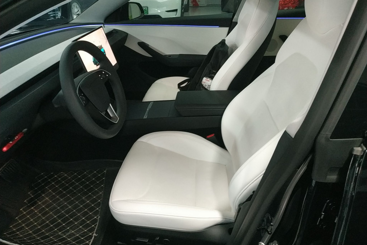 特斯拉 Model 3 2023款 后轮驱动版中控内饰19
