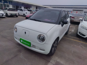 欧拉黑猫 2021款 351km 标准型