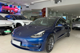 特斯拉 Model 3 2019款 标准续航后驱升级版