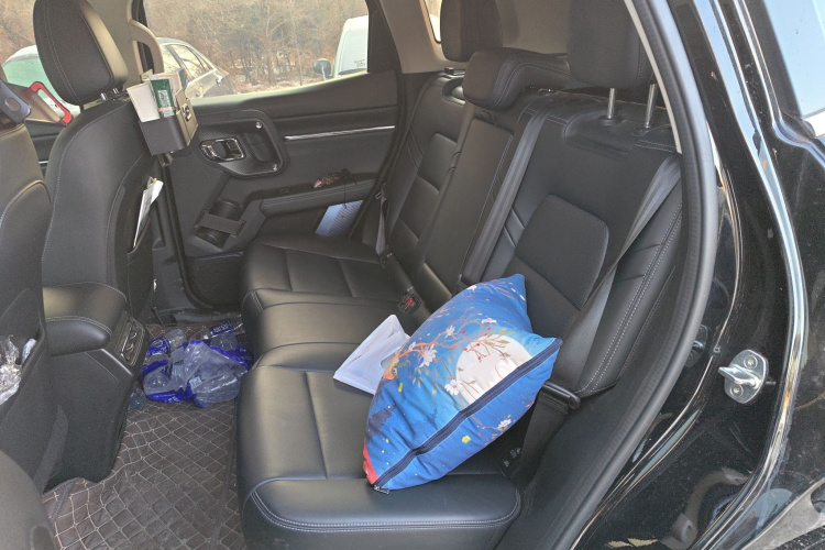 哈弗大狗 PLUS 2023款 2.0T 四驱潮野Plus中控内饰21