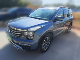 广汽传祺 传祺GS8 2017款 320T 两驱豪华智联版（七座）