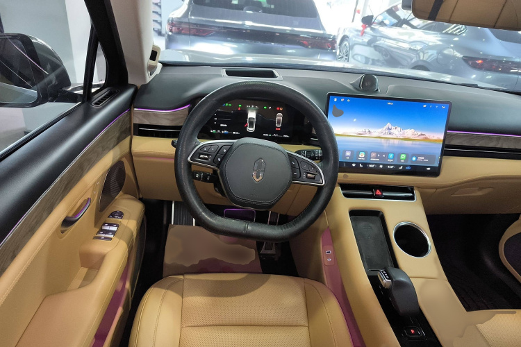 鸿蒙智行 问界M5 2022款 增程四驱旗舰版局部细节13