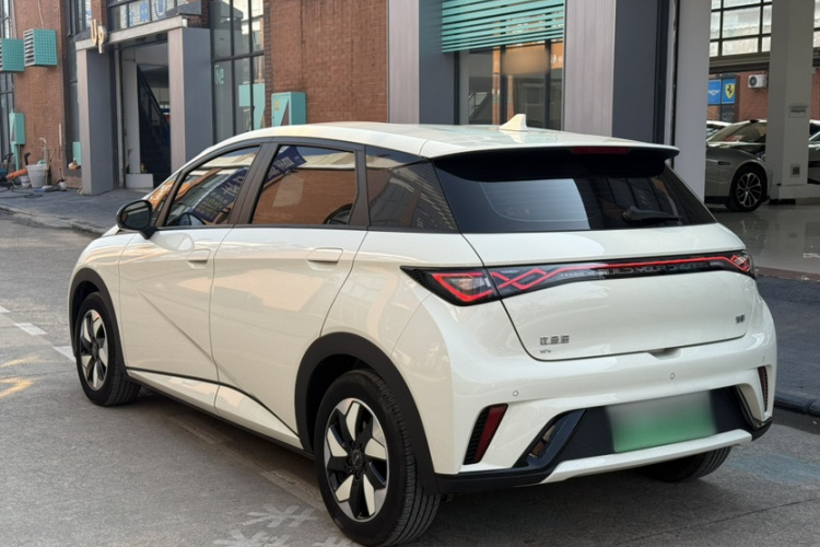 比亚迪 海豚 2024款 荣耀版 420km 自由版车身外观6002