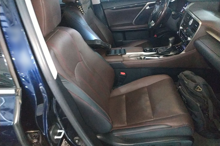 雷克萨斯RX 2016款 300 四驱典雅版 国VI局部细节41