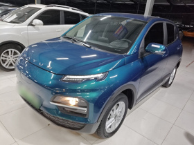 大运 悦虎 2023款 300 标准版