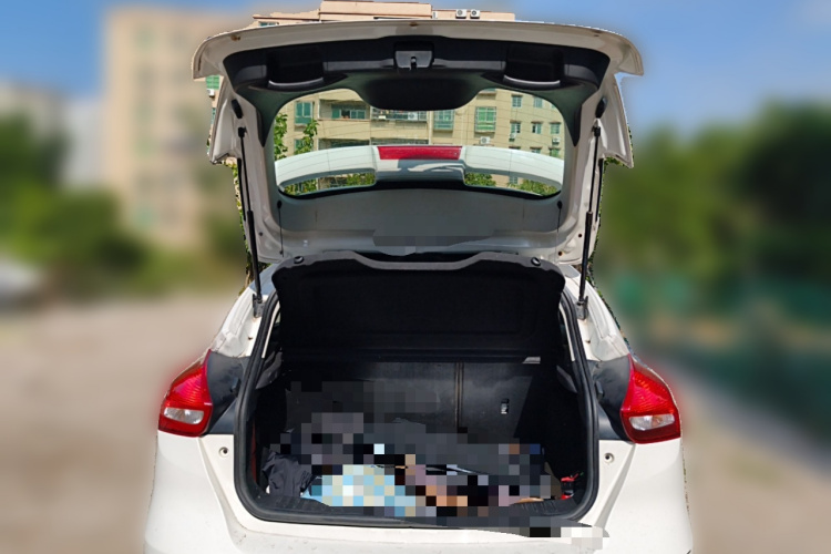 福特 福克斯 2018款 两厢经典 EcoBoost 180 自动精英型中控内饰23