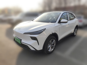 奔腾 悦意03 2025款 445km 心悦版