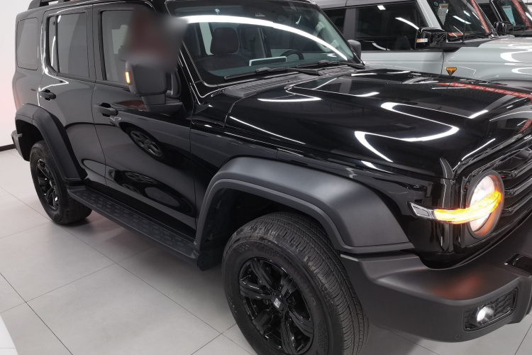 坦克300 2025款 2.0T 挑战者车身外观3