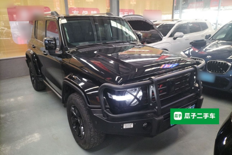 坦克300 2021款 城市版 2.0T 很有型车身外观6002