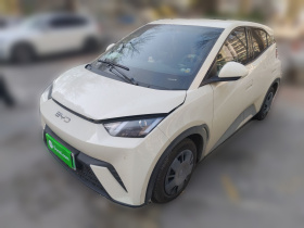 比亚迪 海鸥 2025款 305km 活力版