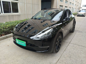 特斯拉 Model Y 2023款 长续航全轮驱动版