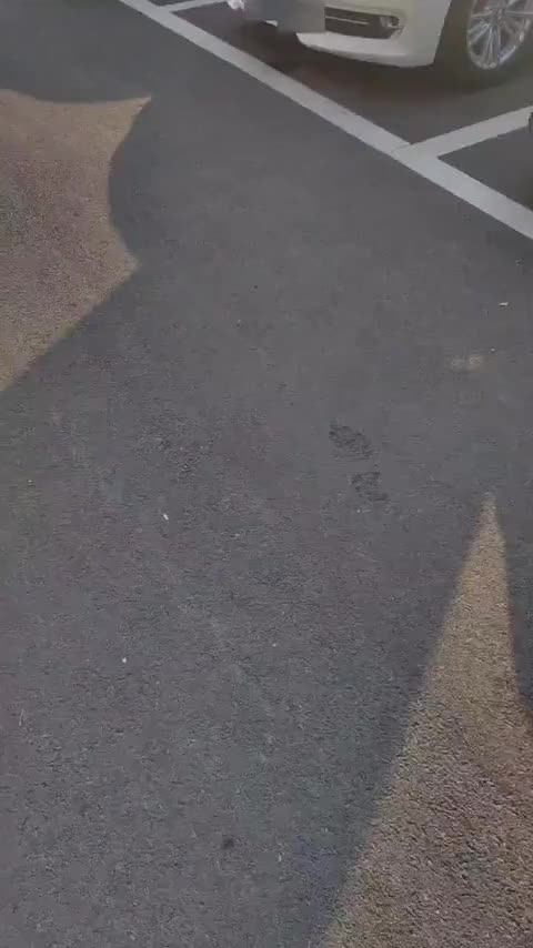 日产 天籁 2019款 2.0T XL 智领版讲解2