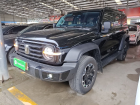 坦克300新能源 2025款 Hi4-T