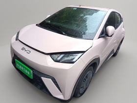 比亚迪 海鸥 2025款 305km 活力版