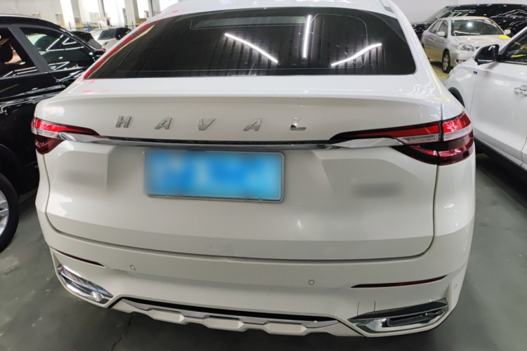 哈弗F7x 2019款 1.5T 两驱极智潮玩版车身外观6004